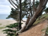 DSC_0791 (640x428)