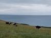 DSC_0793 (640x428)