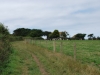DSC_0797 (640x428)