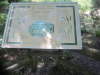 019 (800x600) - Copy.jpg
