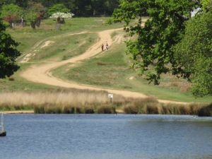 2015 RR Richmond Park