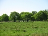 003 (800x600).jpg
