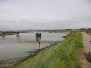 2015 Southwold to Walberswick Marsh