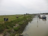 Southwold to Walberswick Marsh 043 (800x600).jpg