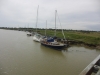 Southwold to Walberswick Marsh 046 (800x600).jpg