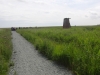 Southwold to Walberswick Marsh 072 (800x600).jpg
