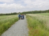 Southwold to Walberswick Marsh 073 (800x600).jpg