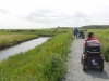 Southwold to Walberswick Marsh 079 (800x600).jpg