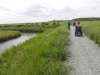 Southwold to Walberswick Marsh 081 (800x600).jpg