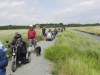 Southwold to Walberswick Marsh 083 (800x600).jpg