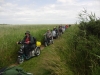 Southwold to Walberswick Marsh 084 (800x600).jpg