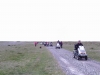 PTDC0061.JPG