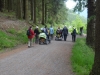 Whinlatter Forest.jpg
