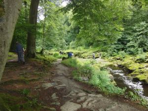 2016 Bolton Abbey - Strid