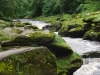 2016-07-05 Bolton Abbey Strid 003 (1024x768)