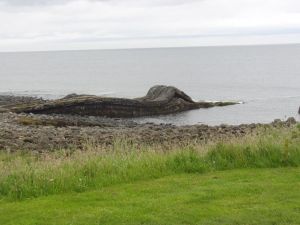 2016 Craster