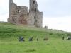 2016-07-12 Craster to Dunstanburgh Castle Golf Club 025 (1024x768)