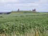 2016-07-12 Craster to Dunstanburgh Castle Golf Club 053 (1024x768)