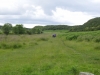 2016-07-12 Craster to Dunstanburgh Castle Golf Club 060 (1024x768)