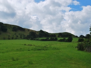 2016 New Laund Farm