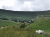 DSC_0677 (640x428)