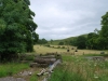 DSC_0689 (640x428)