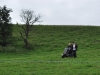 DSC_0690 (640x428)
