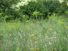 IMG_0076 (1024x768)