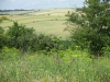 IMG_0077 (1024x768)