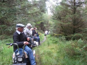 2016 Beddgelert Forest