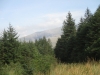Copy of IMG_0119