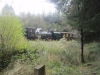 Copy of IMG_0892