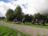 Copy of IMG_0156