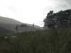 Copy of IMG_0171