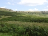 2016-08-24 Long Causeway Ramble 028 (1024x768)