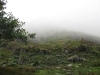 Copy of IMG_0043