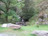 Copy of IMG_0052