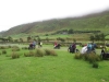 Copy of IMG_0060