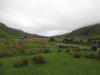 Copy of IMG_0061
