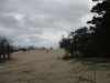 Copy of IMG_0040
