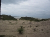Copy of IMG_0859