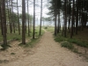 Copy of IMG_0862