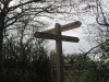 Copy of IMG_0042