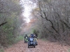 Copy of IMG_0051