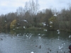 Copy of IMG_0067