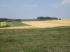 Copy of IMG_0803