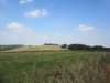 Copy of IMG_0804