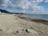 Copy of IMG_0063