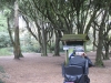Copy of IMG_0089
