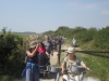 Copy of IMG_0799